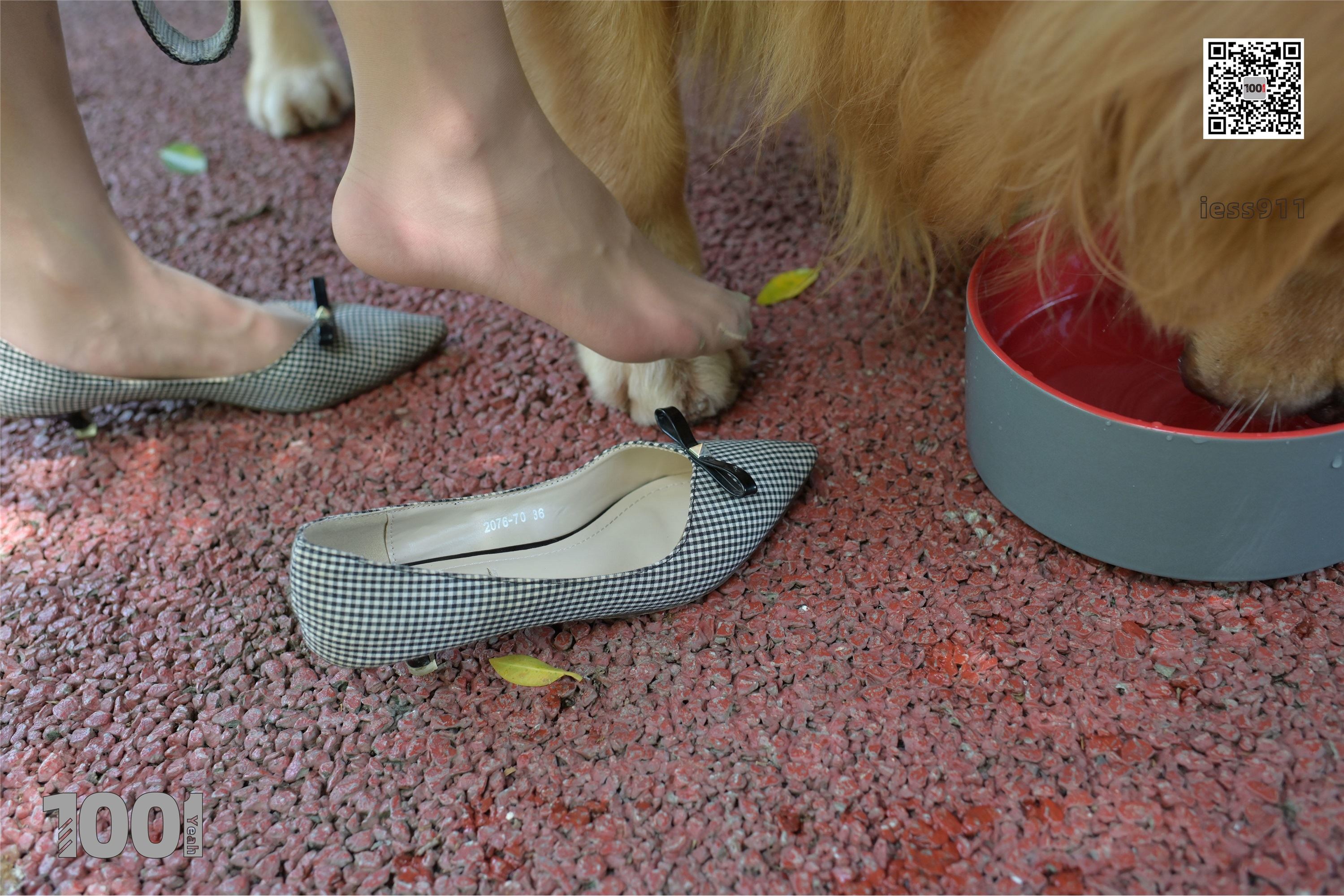 IESS异思趣向 一千零一夜 模特：真真《家有萌宠1》